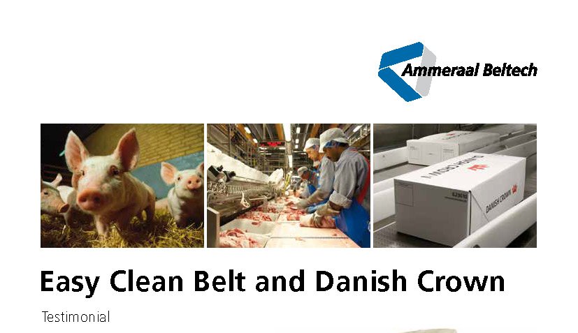 Ammeraal 肉品專用輸送帶